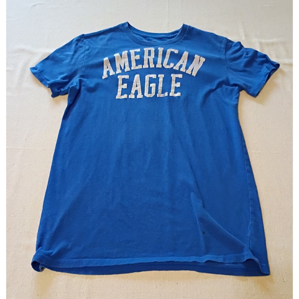 American Eagle Outfitters Mens Athletic Fit Graphic T-Shirt Blue Small S/P N